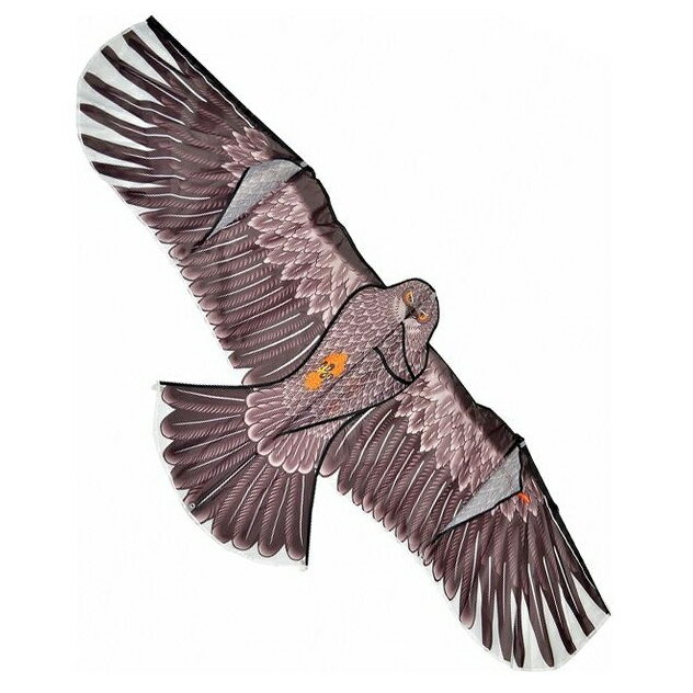 愛農 鳥追いカイト鷹