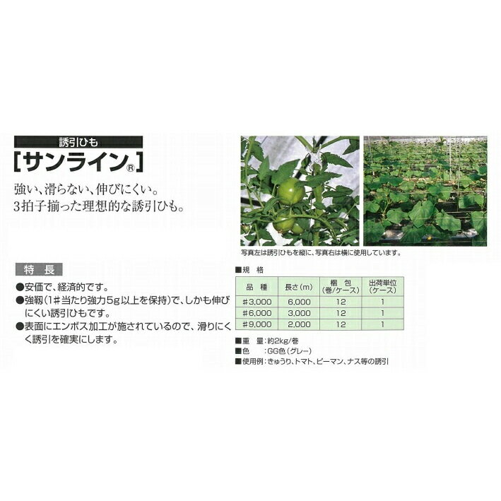 【法人限定】宇部エクシモ サンライン誘引ひも2...の紹介画像2