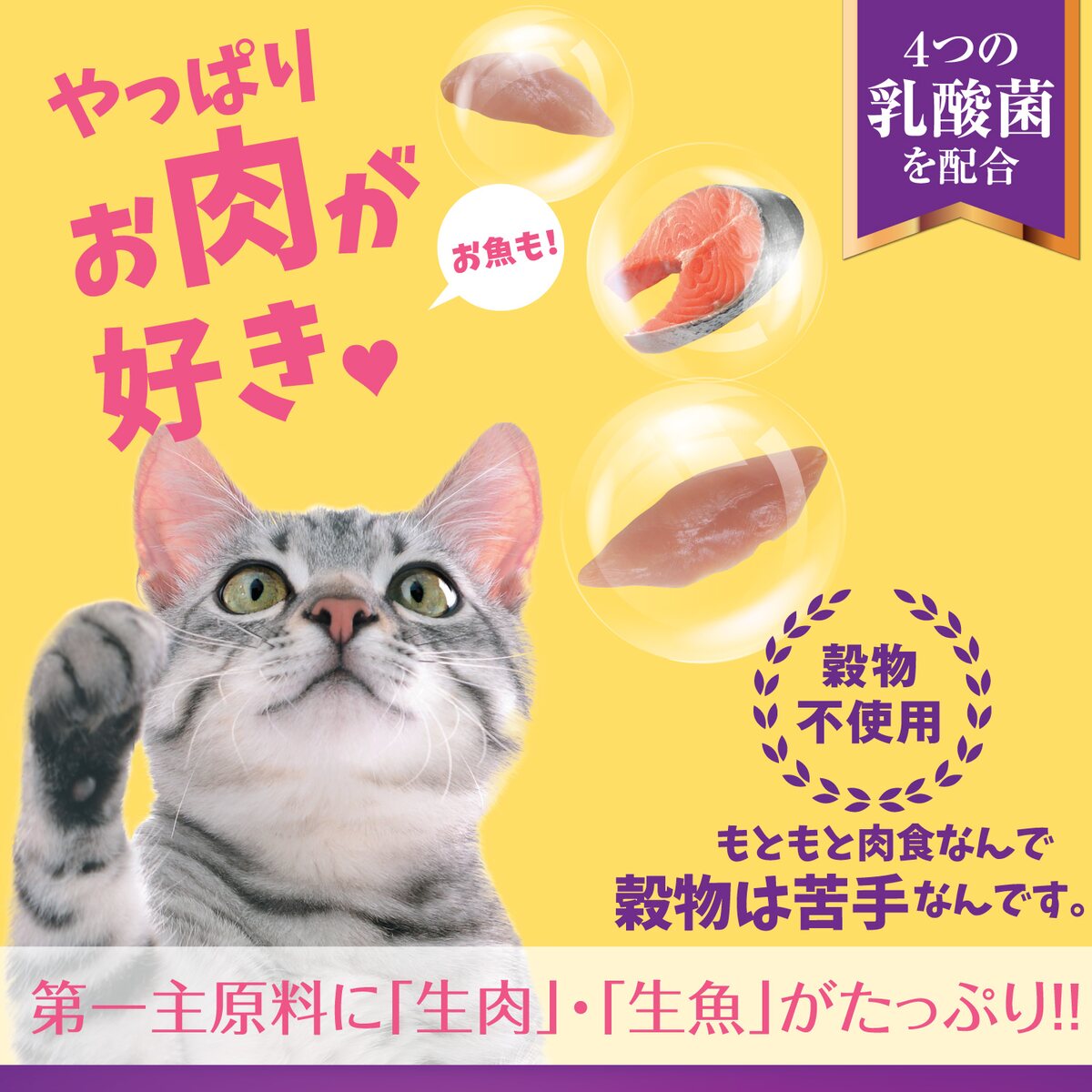 ウェルネス『穀物不使用成猫用（1歳以上）骨抜きチキン』