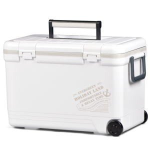 伸和 ホリデーランドクーラー 27H W ホワイト通販格安セール情報 楽天 通販