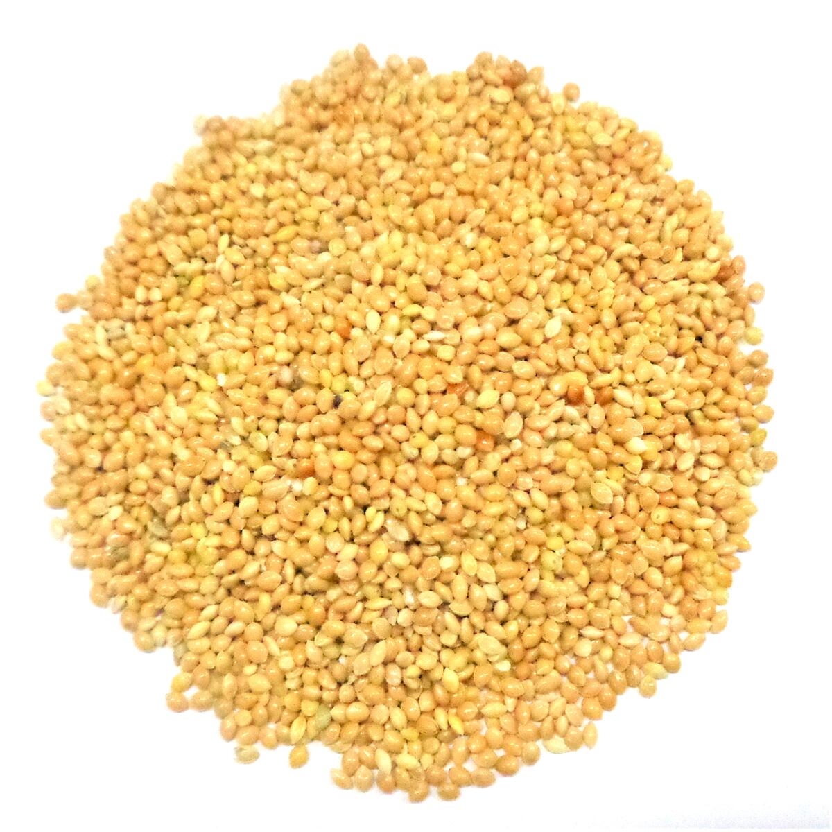Arclands Online 楽天市場支店の小鳥用間食 きび皮付き 550g｜アングル3