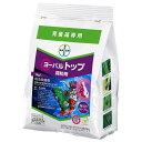 【6月25日限定!最大100%ポイントバック】ヨ−バルトップ箱粒剤 1kg