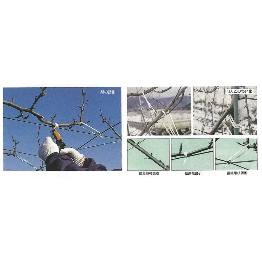 �ޥå��� �̼���Ͷ����«�� HR-F �ڥ᡼����ľ��������Բġ������Բġ�