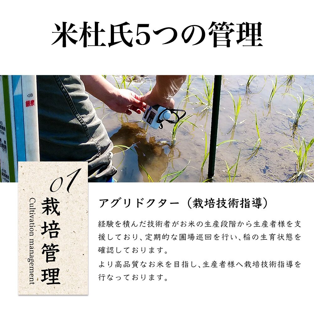 Arclands Online 楽天市場支店の新潟米 米杜氏 新潟県 佐渡産こしひかり 産地指定米 5kg 佐渡産コシヒカリ【令和7年産】 ○4袋まで1個口｜アングル2