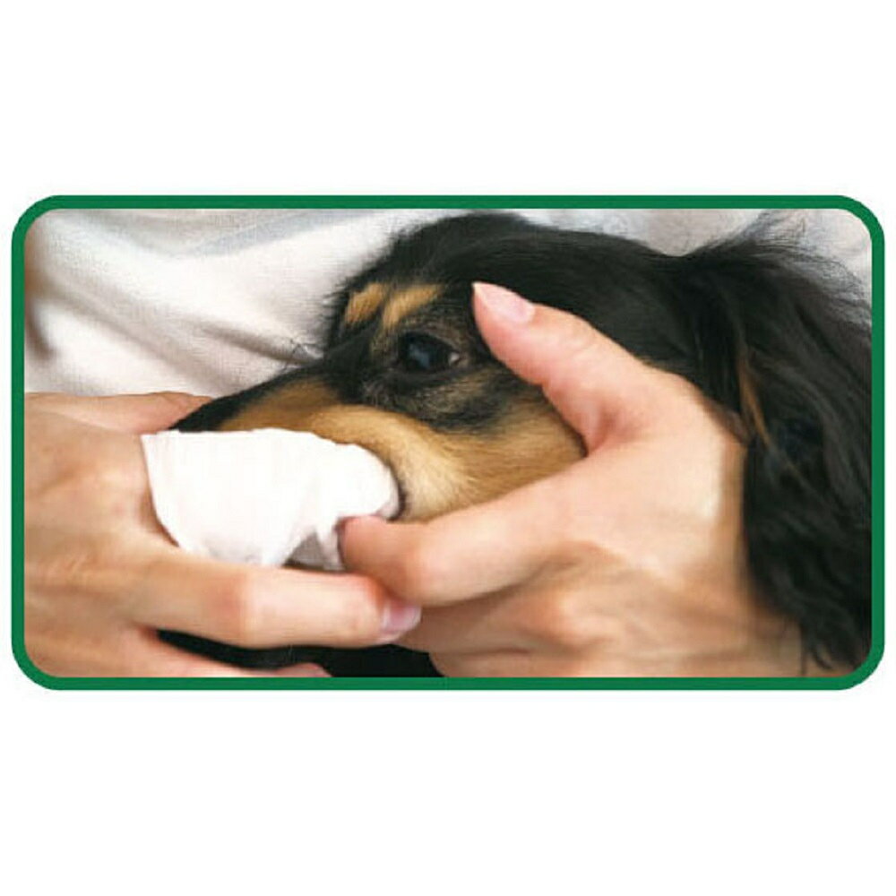 ペットキッス 歯みがきシート 犬・猫用 30枚...の紹介画像2