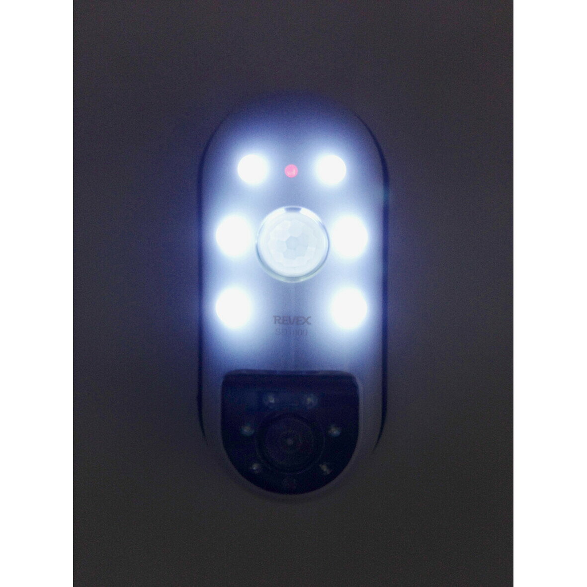 在庫限り リーベックス 乾電池式防犯センサーカメラ SD1000 lamd-10117699 Arclands Online 楽天市場支店 サンプル画像3