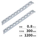 【法人限定】日軽金アクト アルミブリッジ 2本1セット(標準型)アングルフックタイプ 08-C4-30 【メーカー直送・代引不可・置配不可・配送地域限定】