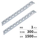 【12月は毎日開催!エントリーで最大100%ポイントバック】【法人限定】日軽金アクト アルミブリッジ 2本1セット(標準型)アングルフックタイプ 10-C5-3...