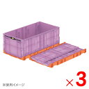 【法人限定】サンコー オリコン EP210B-B パープル/オレンジ 561820-00 ×3個 セット販売 【メーカー直送・代引不可・置配不可】