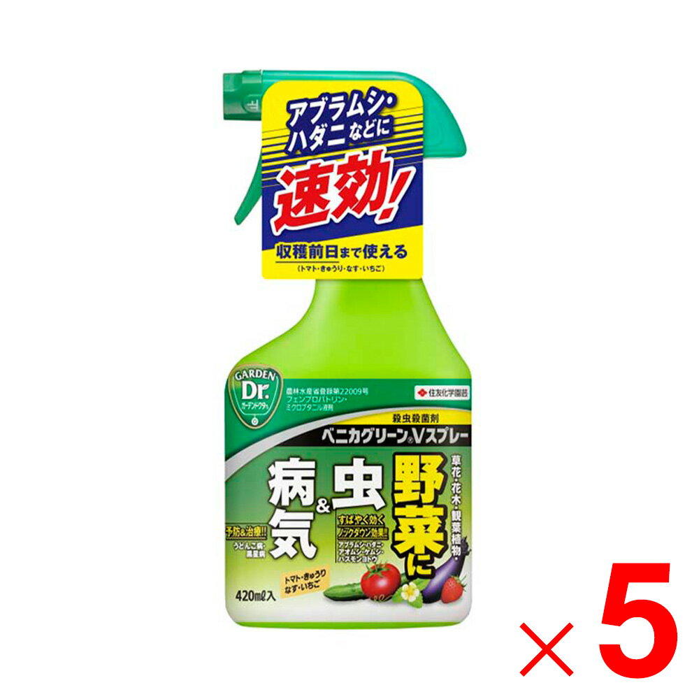 【8月5日限定！最大100％ポイントバック】住友化学園芸 ベニカグリーンVスプレー 420ml ×5個 セット販売