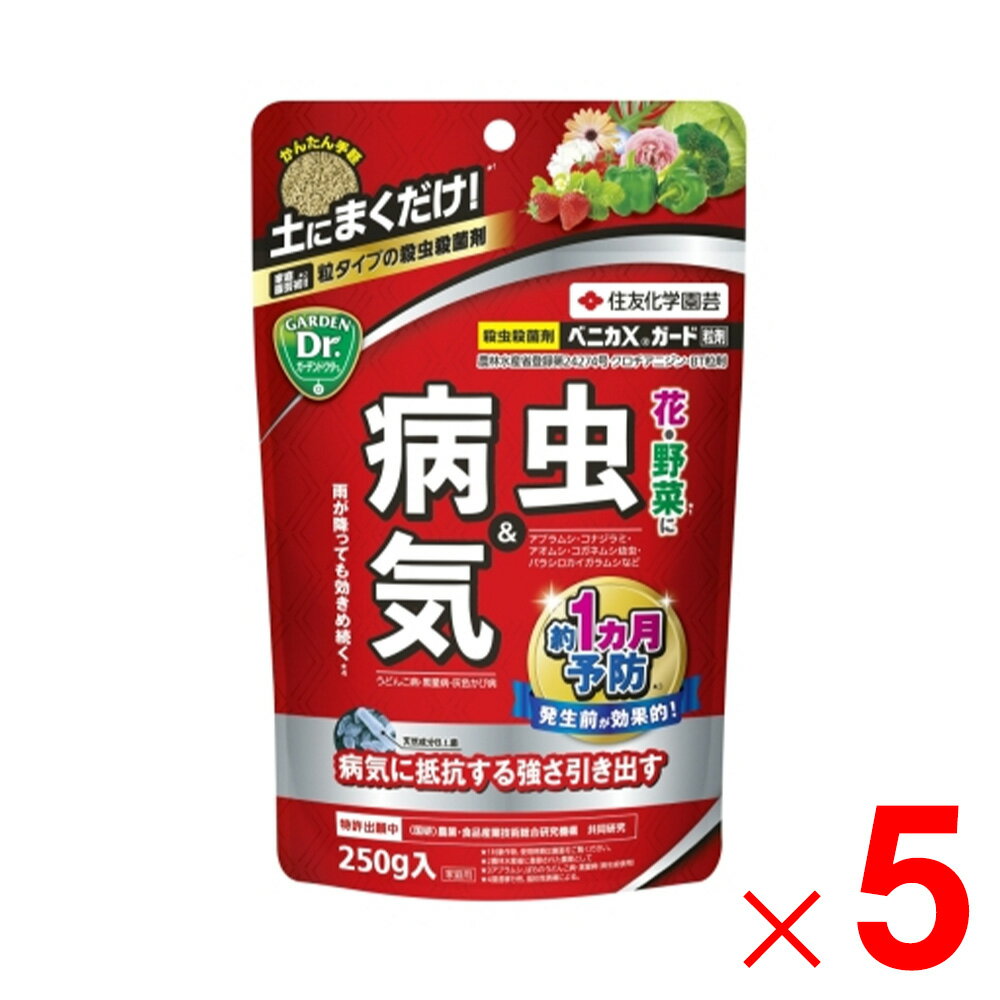KINCHO園芸 ベニカXガード粒剤 250g ×5個 セット販売