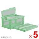 【法人限定】サンコー マドコンライト C-75B サンロック付 グリーン/透明 559180-00 ×5個 セット販売 【メーカー直送・代引不可・置配不可】(3)