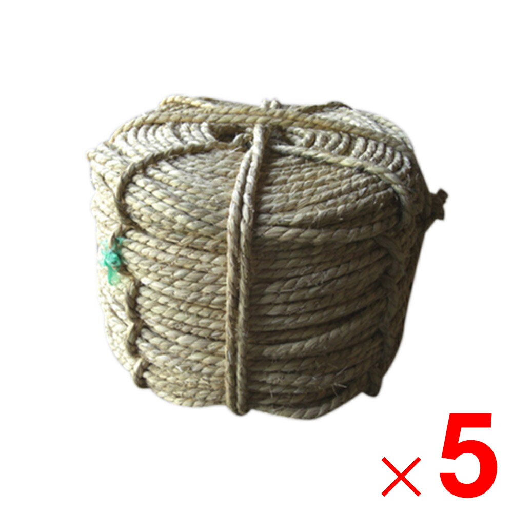 【1月10日限定！最大100％ポイントバック】【法人限定】シンセイ 玉縄 3分 ×5個 セット販売 【メーカー..