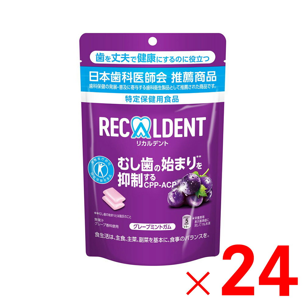 モンデリーズ・ジャパン リカルデント グレープミントガム スタンドパウチ 280g×24個 ケース販売