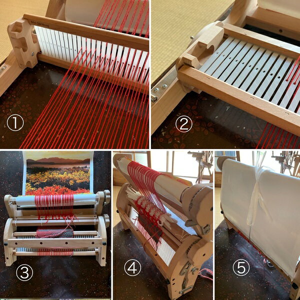 �顦�᡼�롡�롼��25cm�ڥݡ����֥� �꿥�굡 ��忥�굡 ��� �꿥�� ���굡 ���� �ꥸ�åɥإɥ� �إɥ� �¤� ���� ���� �ե���� �ˡ��ɥ� �� �� �������