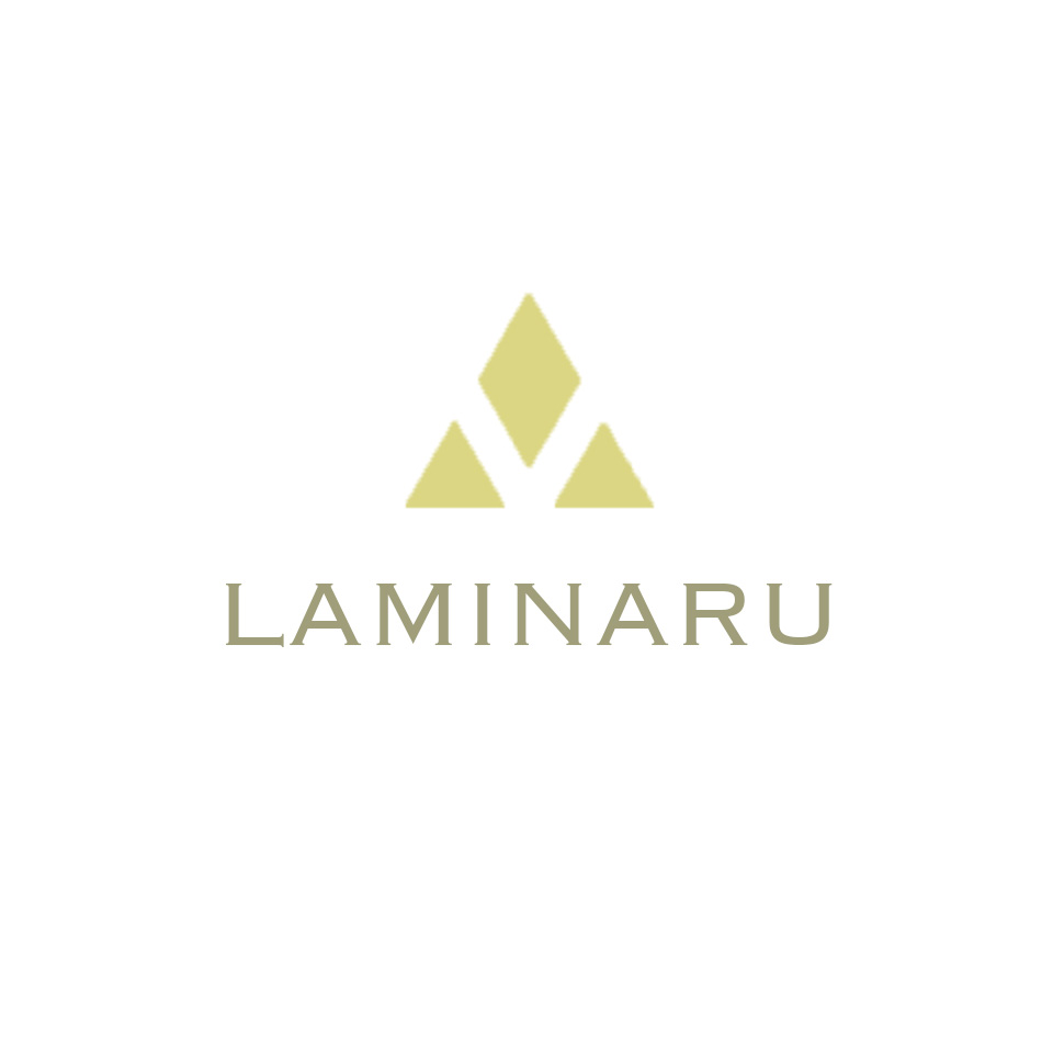 Shop icon