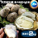 天然岩牡蠣(活) たっぷり2キロ詰め込んで(訳あり大きさ色々6個-18個程度・殻付き)鳥取産 岩牡蠣 牡蠣 (岩牡蠣 カキ)