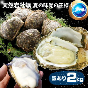 天然岩牡蠣(活) たっぷり2キロ詰め込んで(訳あり大きさ色々6個-18個程度・殻付き）鳥取産 岩牡蠣 牡蠣 (岩牡蠣 カキ)