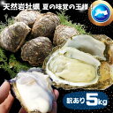 天然岩牡蠣(活) たっぷり5キロ詰め込んで(訳あり大きさ色々18個-40個程度・殻付き) 岩牡蠣 牡蠣 (岩牡蠣 カキ)