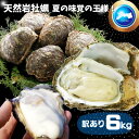 天然岩牡蠣(活) たっぷり6キロ詰め込んで(訳あり大きさ色々20個-50個程度・殻付き)岩牡蠣 牡蠣 (岩牡蠣 カキ)