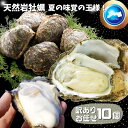 天然岩牡蠣(活) 10個セット 大きさお任せ 鳥取産 岩牡蠣 牡蠣 刺身用(岩ガキ/岩がき)