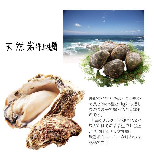 サンプル画像2