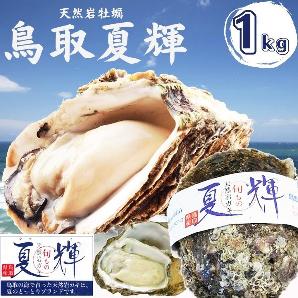 全国お取り寄せグルメ鳥取水産物・水産加工品No.8