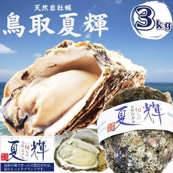 天然岩牡蠣 (活)夏輝牡蠣 3kgセット(5-15個前後) ブランド 夏輝牡蠣 鳥取産 カキ 刺身用 送料無料(岩ガキ/岩がき)