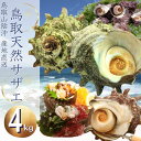 鳥取沖産(活)天然サザエ 計4キロ(大きさおまかせ)さざえ 刺身用 山陰沖 送料無料