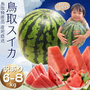 ご予約 鳥取すいか スイカ【ご自宅用】大6〜8k前後!(訳あり)鳥取県北栄町産(旧大栄町) 送料無料