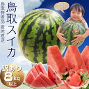 ご予約 鳥取すいか スイカ【ご自宅用】特大8k以上!(訳あり)鳥取県北栄町産(旧大栄町) 送料無料
