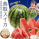 ご予約 鳥取すいか スイカ【ご贈答用】大6〜8k前後!鳥取県北栄町産(旧大栄町) 送料無料(4)