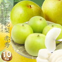 鳥取県産 二十世紀梨【ご贈答用】10kg詰 梨(24-44玉前後入)L-5L 赤秀 送料無料 !