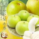 鳥取県産 二十世紀梨【ご贈答用】3kg詰 梨(6~16玉前後入)赤秀 送料無料