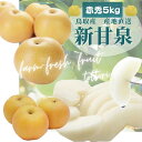 鳥取産 新甘泉梨 しんかんせん (赤秀)5kg(10-24玉入り)甘さ抜群 送料無料