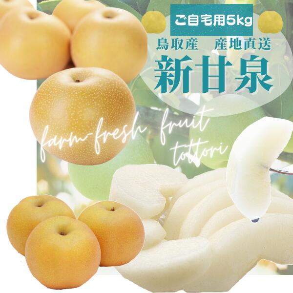 鳥取産 新甘泉梨 しんかんせん （ご自宅用・訳あり）5kg（8−20玉入り前後）甘さ抜群 送料無料のサムネイル