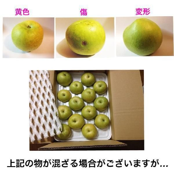 いまるの鳥取県産 (ご自宅用 訳あり） 二十世紀梨 5kg（S～3L　10-24個前後 ）梨 ご自宅用｜アングル3