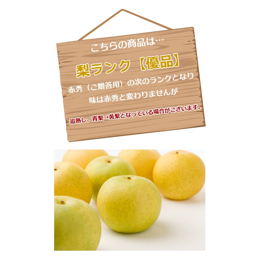 鳥取県産 二十世紀梨 【優品】5kg詰 梨（M〜3L 10〜24個）ご自宅用 梨