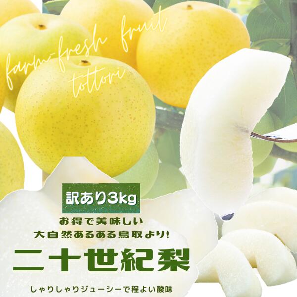 鳥取県産 二十世紀梨(ご自宅用 訳あり) 3kg詰 梨(S~4L )ご自宅用 訳あり 梨 送料無料