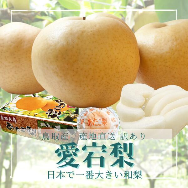 鳥取県産 最高級 あたご梨 6-9玉 大きさお任せ 5kg 鳥取県産 愛宕梨 送料無料のサムネイル