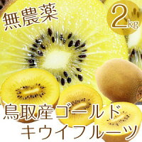 無農薬たっぷり2kg(20個前後詰め)キウイフルーツ鳥取県産有機栽培送料無料キウイ