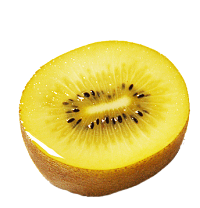 無農薬たっぷり2kg(20個前後詰め)キウイフルーツ鳥取県産有機栽培送料無料キウイ