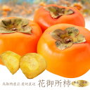 【ご予約】鳥取県産 花御所柿 (ご進物用:贈答品:秀品)3kg M〜3Lサイズ (10〜18個前後)柿 鳥取産かき 送料無料