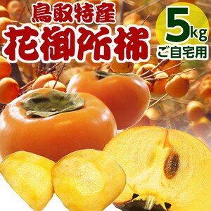 【ご予約】鳥取県産 花御所柿 (ご自宅用:訳あり)5kg M〜3Lサイズ(18〜32個前後) 柿 ヘタ空き有 鳥取産かき 送料無料 1配送先につき2箱ご購入で1箱増量(計15キロ)!