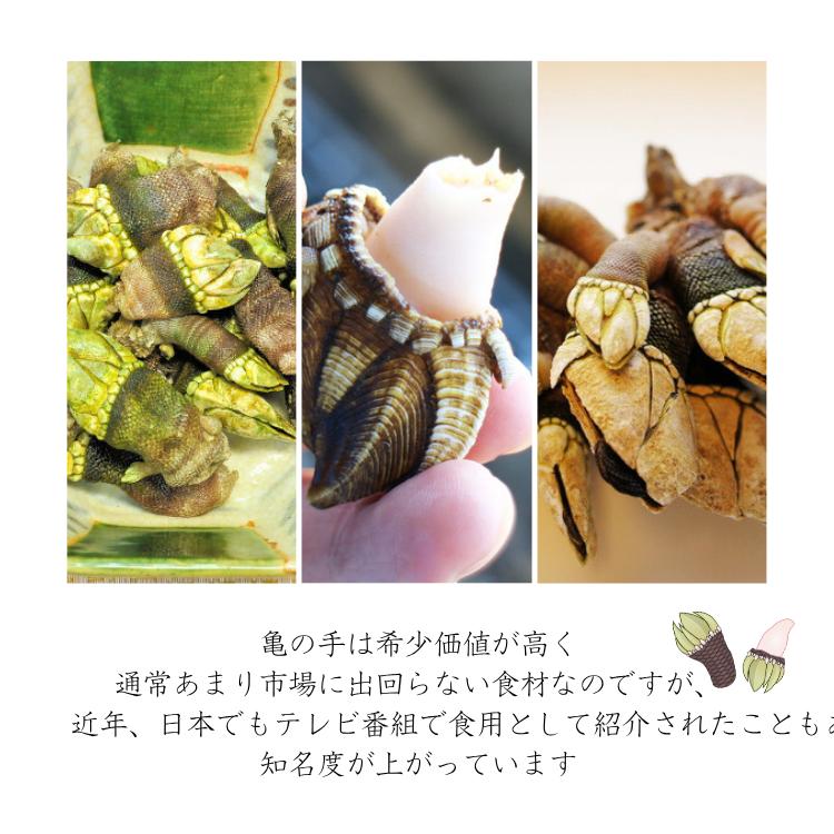 いまるの鳥取産 カメノテ 亀の手 2kg (250g×8袋) 真空パック「冷凍便」｜アングル3