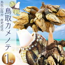 鳥取産 カメノテ 亀の手 (250g×4袋) 真空パック「冷凍便」2セットご購入で1セット増量中!