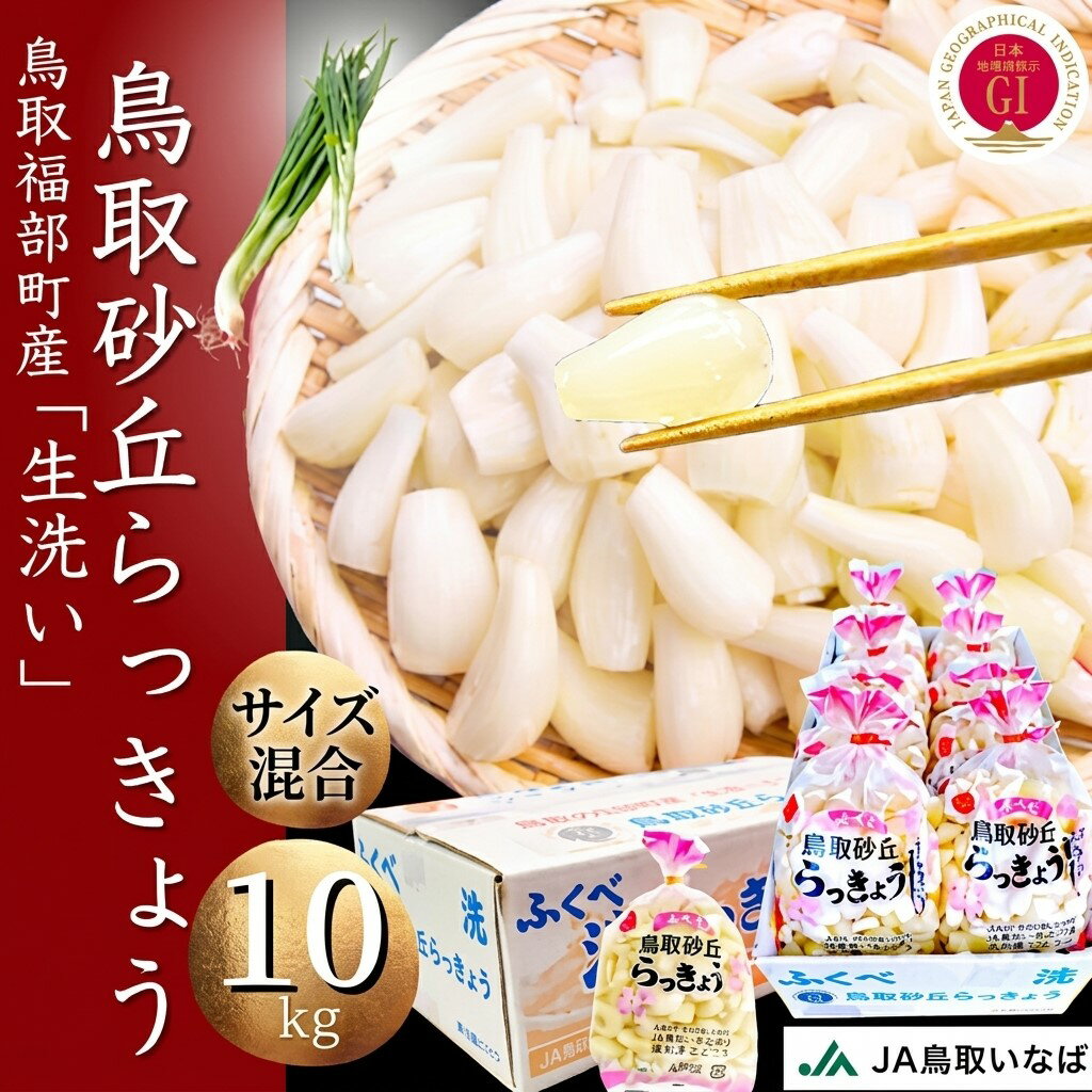 乐天商城 - 【訳あり】生 洗い らっきょう サイズ混合 10kg （1kg×10袋）【送料無料】