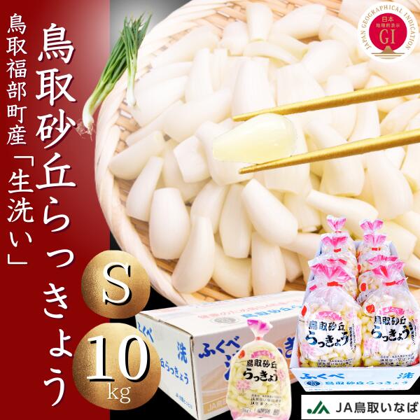 らっきょう　JAいなばJAふくべ 「生 洗い らっきょう Sサイズ」10kg （1kg×10袋） 国立公園 鳥取大砂丘福部町産 ラッキョウ 10kg 洗い 生