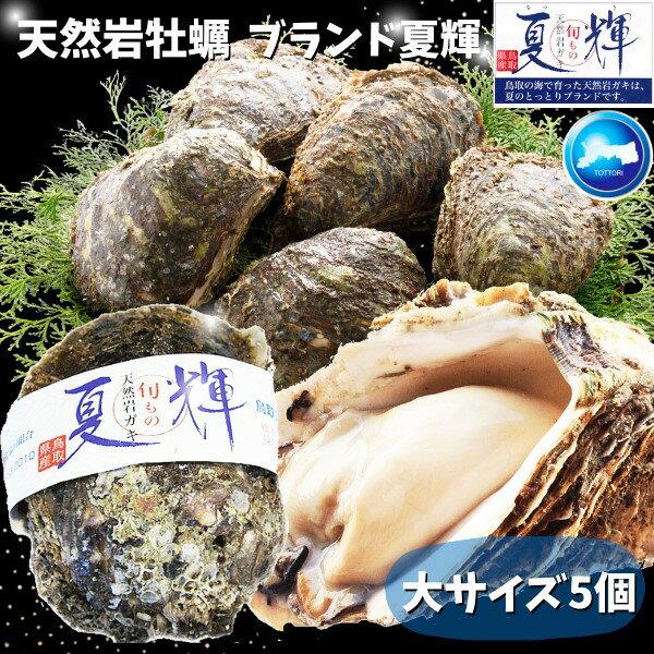 天然岩牡蠣 【夏輝】(生食用)牡蠣(活)大250g〜350前後 ×5個セット鳥取産 朝採れ 刺身用 送料無料(岩ガキ/岩がき)のサムネイル