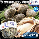 天然岩牡蠣 【夏輝】(生食用)牡蠣(活)大250g〜350前後 ...